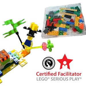 Lego Serious Play Kit Certified